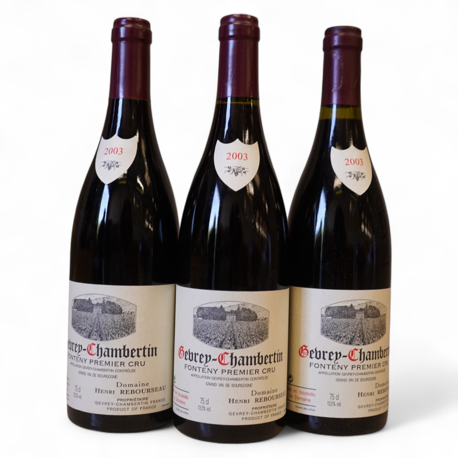 Domaine Henri Rebourseau, Gevrey-Chambertin Premier Cru, 2003